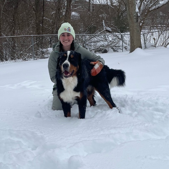 Brutus is LIVE! ❤️❤️ - Picture 3 of 4